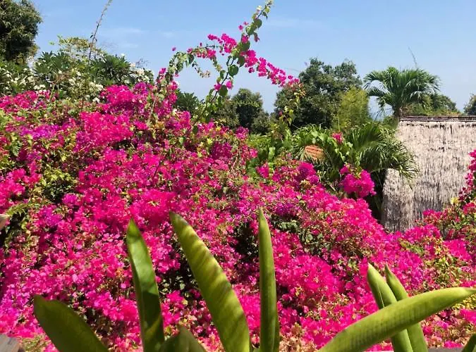 Taman Burung Villas ロヴィーナ